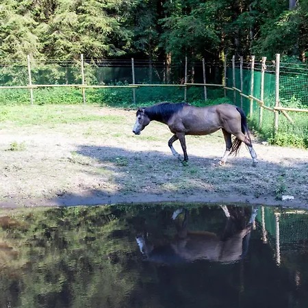 Galgi Luxussátor